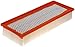FRAM CA10085 Extra Guard Flexible Rectangular Panel Air Filter