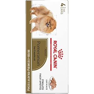Royal canin breed health nutrition pomeranian adult loaf in sauce canned dog food 3 oz can 4 pack   cucciolini doodles