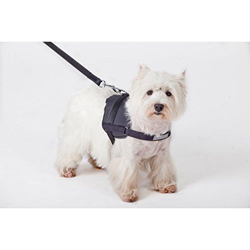 Dingo Dog Harness Handmade Reflective STRONG Modern Sport Type Red 13479 - Image 4