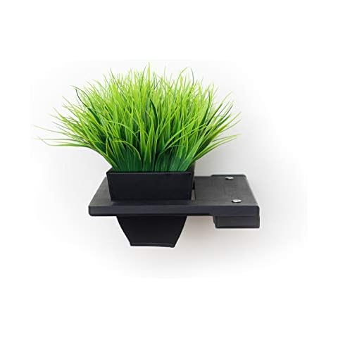 CatastrophiCreations Cat Mod Planter Handcrafted Elevated Wall, Onyx, One Size Cover