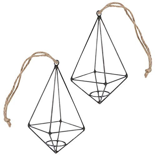 BESPORTBLE 2 Piezas Estante De Plantas De Aire De Pirámide Contenedores De Plantas De Aire Soporte De Pared para Plantas De Aire Jarrón De Plantas De Aire Planta De Aire Expositores Colgante