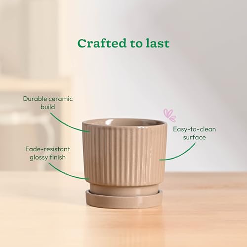 Image of UGAOO Roma Ceramic Pot for Indoor Plants, 4 Inch - Curtain Brown