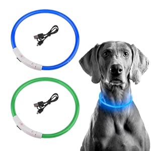 2 Piezas Collar Luminoso Perro, Collar LED Recargable por USB Tamaño Ajustable, Collar Impermeable de Seguridad, Reutilizable para Perros Pequeños Medianos Y Grandes (Verde + Azul)