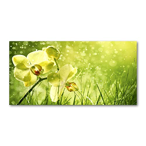 Tableau sur toile fleurs d'orchidée verte Tulup 120x60 cm pour salon