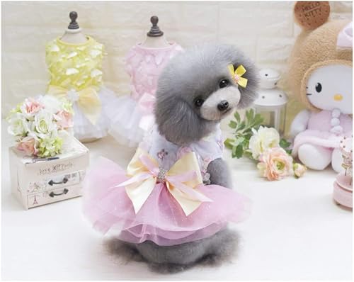 Hundekleid Welpenrock Hundeprinzessin Kleider Ballett Tutu Blume Hochzeit Spitze Luxus Bogen Kleid für kleine Hundemädchen L Pink