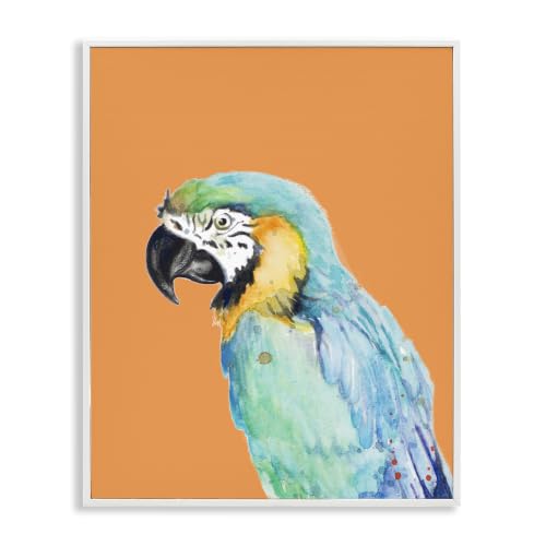 Tropical Macaw Parrot Portrait, 16 x 20 Inch Framed Giclée Print