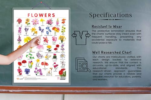 Image of GO WOO FLOWERS CHART HARD LAMINATED | Botanical Beauty: Sturdy Laminated Flowers Wall Display