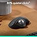 Logitech Ergo M575S Wireless Trackball Mouse, Wireless Ergonomic Mouse with Bluetooth and Encrypted Dongle, Comfortable Thumb Control, Precise and Smooth Tracking, for PC/Mac - Black Silver Ball