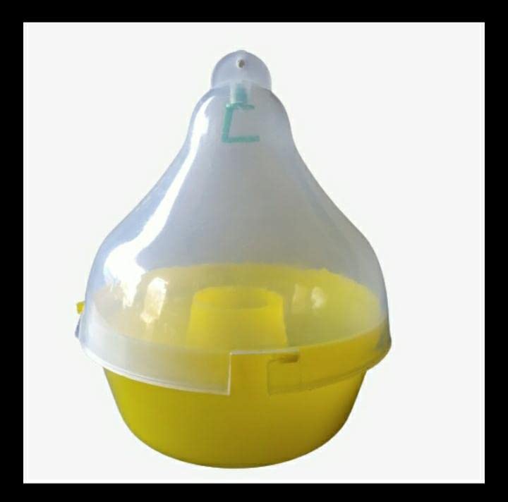 FARMROOT Maxplus Melon Fruit Fly Pheromone Trap with Lure Combo Pack, Yellow-image-14
