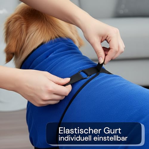 Canisphere Hundebademantel (Größe XS, kleine Hunde, blau) - Saugstarker Bademantel Hund aus Mikrofaser - Schnelltrocknend & Flauschig - Hunde Bademantel für kleine Hunde