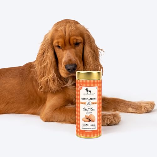 Image of Yummy in My Tummy by HUFT Chai Time Coconut Dog Biscuits - 200 gm | Gluten-Free Vegetarian Crunchy Treats for Puppies & Adult Dogs | Healthy Snack | Suitable for All Breeds Dogs