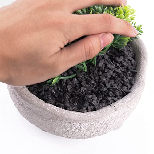 Blvvcom 6.3"X5.9"Artificial Succulents Plants,Burrito Sedum Fake Plants, Faux Succulents Plant With Cement Potted For Home,Shelf And Office Decoration #TOP4
