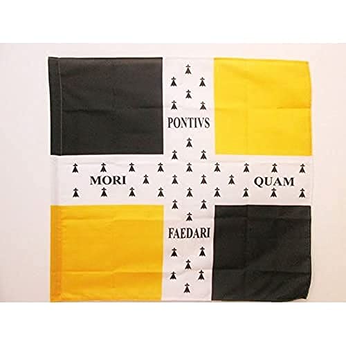AZ FLAG French Empire Infantry Regiment Bretagne 1757 à 1791 Flag 3' x 3' for a pole, Army of France flags 90 x 90 cm