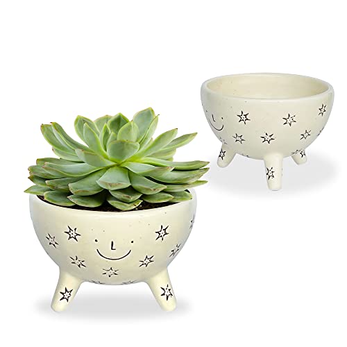 SLS SUPPLY FLORA,Facepot Keramik-Pflanzgefäß, stehender Pflanztopf mit lächelndem Gesicht, niedliche Pflanzenvase für Innen-Gartenarbeit, 14 cm (B)x9 cm (H) Cover