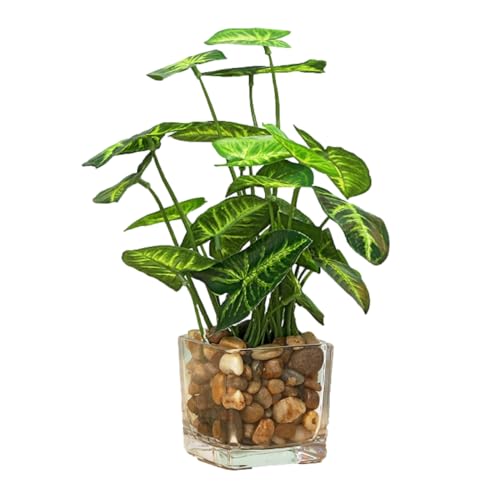 ENN LLC CeAptFCNO[ Ύ  ϗtA (̗t)