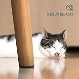 Zoom IMG-1 shinfly set di 60 feltrini