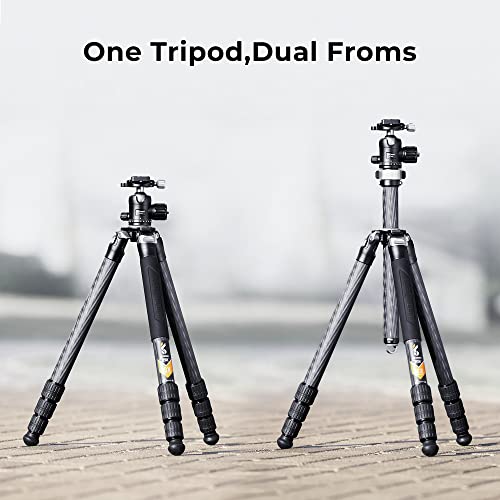 K&F Concept 67 Inch/170Cm Carbon Fiber Camera Tripod,Professional 44Lbs/20Kg Load Capacity With 35Mm Metal Ball Head For Slr Dslr Camera/Camcorder,X324C4+Bh-35 #TOP2