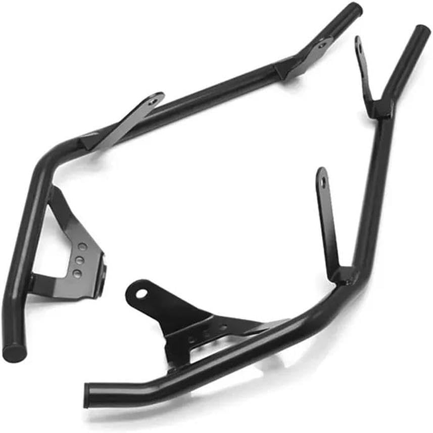 MB-2022/FJR/AC-MC2) アグラオネマ ピクタム MB-2022/FJR/AC-MC2