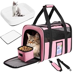 Soft Sided Cat Carrier for Under 18 Pounds, Folable Pet Carrier for Small Medium Cats Dogs, Roomy Dog Travel Carrier, Collapsible Puppy Carrier Bag with Locking Safety Zippers, Pink