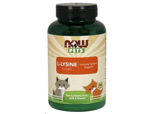 Now Foods Pet Cat L-Lysine Powder, 8oz by Now Foods