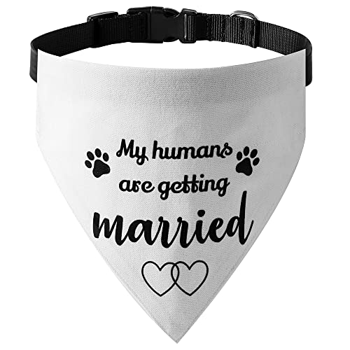 ����M�t�g�AMy Humans are Getting Married Dog �o���_�i�J���[�A�E�F�f�B���O�t�H�g������A�y�b�g�X�J�[�t�A���̍���̂��m�点�A�y�b�g�A�N�Z�T���[(M�A��1)