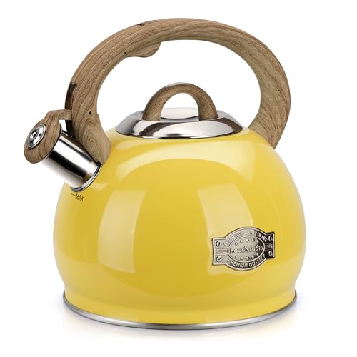 Tea Kettle for Stovetop, 2.7 Quart Loud Whistle Stovetop Teapots,Food