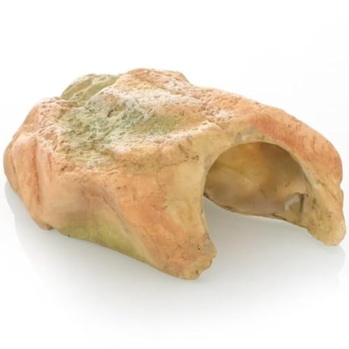 J B ঒ oXLO  VF^[ Tasydi NC~OvbgtH[ ̕i  fR[V vbgtH[ (A)