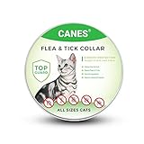 6 Foot Mini to Regular Gold Plated HDMI 1080p Cable For Sony HDR-XR100, XR150, XR200, XR350 HD Handycam Camcorder