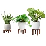Pflanzenständer Holz 3er-set, 10/16.5/23cm Höhe Verstärkter Blumenhocker