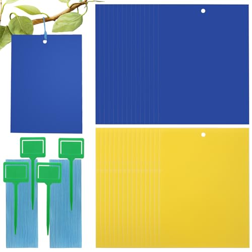 WD&CD ߒV[g 20*15cm 30 V[g nG Sgbv nG ԂƖ؂̊QߊlS ߂SV[g ʔS L ȒPt Aؔ  ΉiCG[{u[j