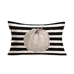 Grey Pumpkin Black Stripes