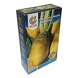 Semillas de Remolacha Forrajera Amarilla WAM (Beta vulgaris) - Caja 250 gr.