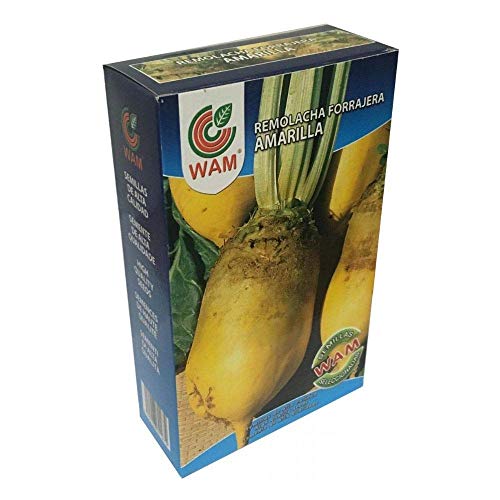 Semillas de Remolacha Forrajera Amarilla WAM (Beta vulgaris) - Caja 250 gr Cover