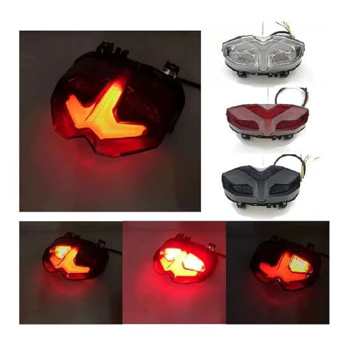 Feu arrière de moto à LED intégré anti-vibration pour MT-10 2023