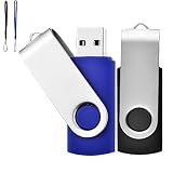 Lot de 2 Clé USB 2 Go USB 2.0 Mémoire Flash Drive Clef USB Pivotantes avec Cordes Bon Cadeau pour Enfant Parents et Amis (2G, Noir/Bleu)