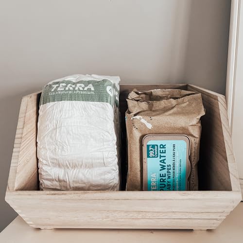Image of Terra Bamboo Water Baby Wipes: 99.7% Pure New Zealand Water, 100% Biodegradable Bamboo Fiber, 0% Plastic, Unscented Baby Wipes for Sensitive Skin, 12 Packs of 70 Wipes
