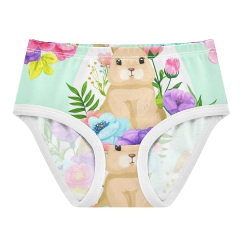 Aesthetic Girls Underwear Toddlers 2t Cotton Little Girl Panties Cute Floral Easter Bunnies Kids Undies Briefs
