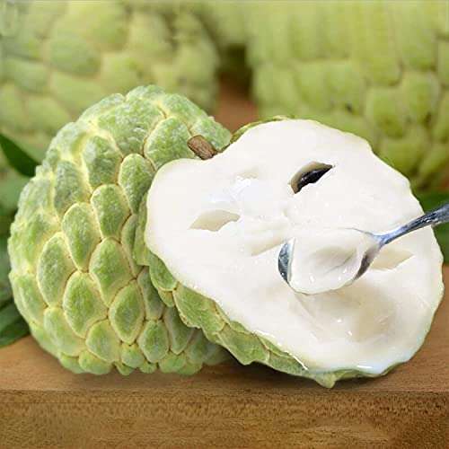 60 Pcs Sugar Apple Seeds For Planting Custard Apple, Annona Squamosa Seeds, Delicious Sweet Fruits #TOP10