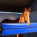 Shinylin Aisle Stall Guards for Horses 126 x 21.3 Inches Horse Stall Guard Designed to Keep Horse Securely in Stall in Style, Adjustable Straps and Sturdy Hardware Included
