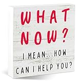 What Now I Mean How Can I Help You Funny Desk Decor Sign with Reminder Quote, 5.5x5.5 Inch Rustic Wood Office Decor for Front Desk,| Gifts for Receptionist Customer Service Professionals