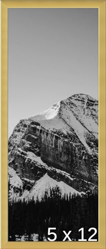 Frame It Easy 5 x 12 Gloss Gold Metal Frame (Ashford)