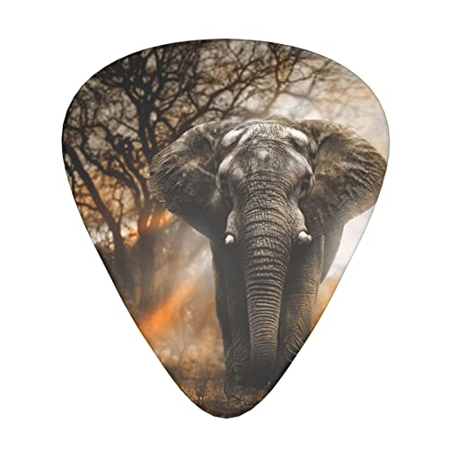 Ensemble de 12 médiators de guitare éléphant d’Afrique tropicale pour guitare acoustique, guitare électrique… - Les Beatles, Paul McCartney, John Lennon, RIngo Starr, George Harrison Ensemble de 12 médiators de guitare éléphant d'Afrique tropicale pour guitare acoustique, guitare électrique…
