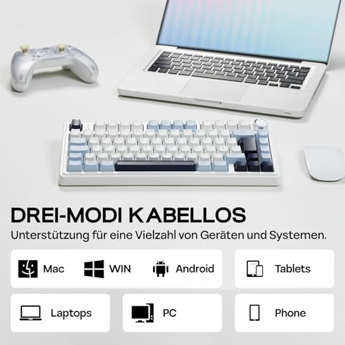 EPOMAKER x Aula F75-ISO Mechanische Tastatur Kabellos, Hot Swap Gaming-Tastatur 75% Prozent, Deutsches Layout QWERTZ, BT/Wireless/USB-C, Knopf& RGB (Light Blue, LEOBOG Reaper Schalter) 4