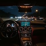 Rari
