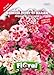 Sementi da fiore di qualità in bustina per uso amatoriale (GODEZIA FIORE DI AZALEA DOPPIA IN MISCUGLIO)