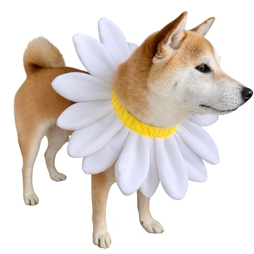 Disfraz Collar Floral Blanco para Perros XL miniatura 2