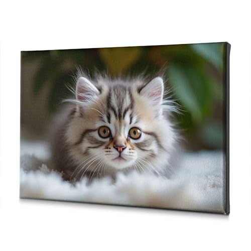 Toile murale chaton 40x60cm pour salle de bain au style cosy