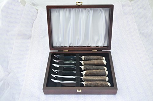 Six Cased Genuine Stag Horn/Antler Handle Steak Knives Made in Sheffield England Free Engraving