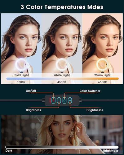 Ringlicht für Computer-Videokonferenz – Webcam-Licht für Monitor, Clip, Fernarbeit, Entfernung, Lernen, Zoom, Anruf, Selbstübertragung und Live-Streaming, Influencer-Licht, Laptop, Videokonferenzen 3