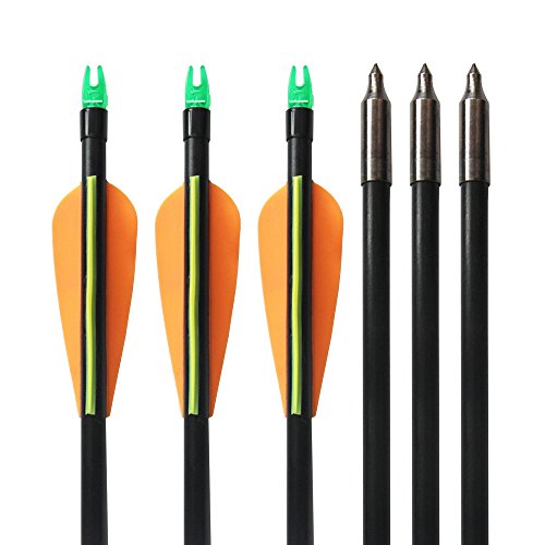 e5e10 6Pcs Fiberglass Hunting Arrows, 31-inch Target Practice Arrows with Solid Unchangeable Sealed Tips for Recurve and Compound Bow Hunting